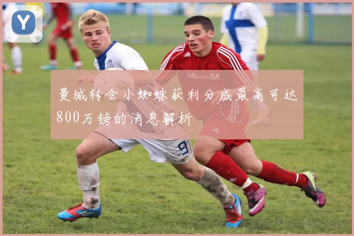 曼城转会小蜘蛛获利分成最高可达800万镑的消息解析